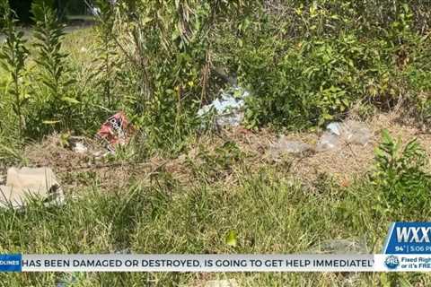 MDOT relaunching anti-litter campaign