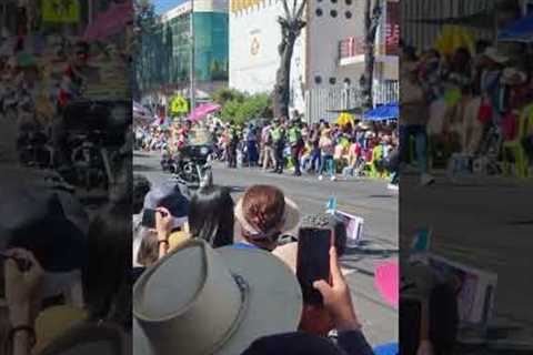 Golden Retriever Gets Big Applause in Parade