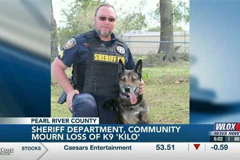 Pearl River County mourns the loss of Sheriff K9 ‘Kilo’