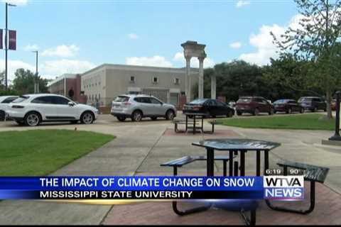 MSU Researchers Dive into Decreasing Snow Coverage