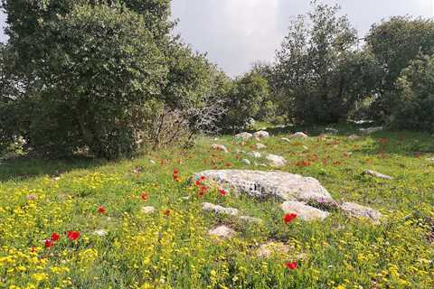 Ajloun Soap House Trail (Ajloun Forest Reserve, Jordan)