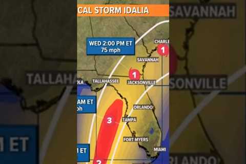 Tropical Storm Idalia heads to Gulf of Mexico #tropicalupdate #weather #tropicalwave #storm