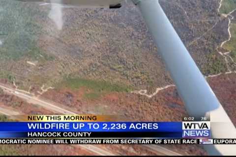 South Mississippi wildifire is 50% contained