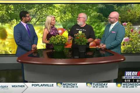 Dr. Gary Bachman brings beautiful mum plants to GMM set