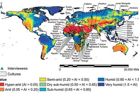 Millet and sorghum cultivation may provide an answer to rising levels of aridity linked to climate..