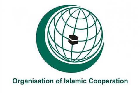 OIC to prepare report on results of monitoring in Azerbaijan’s liberated territories