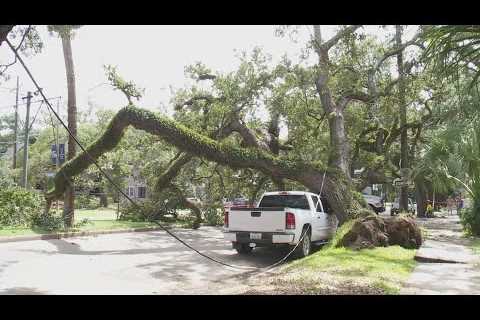 Oak Tree falls across South Carrollton Avenue