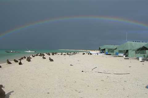 Continuing a Conservation Science Legacy: 40 Years of Monitoring Hawaiian Monk Seals