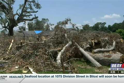 Several financial aid deadlines approaching for victims of Moss Point tornado