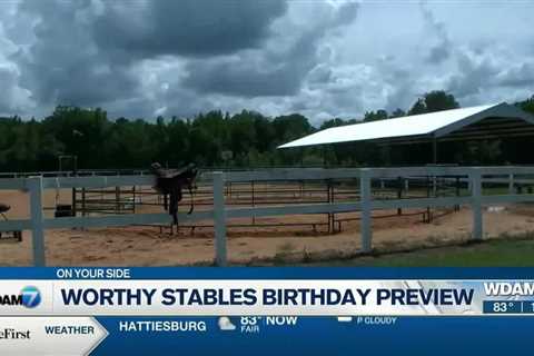 Worthy Stables birthday preview