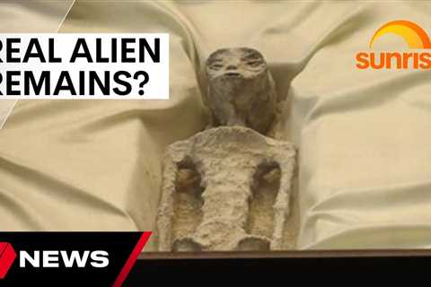 Congressional hearing in Mexico presents mummified ‘alien’ remains