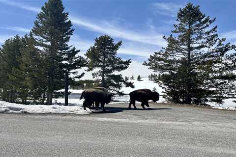 How a looming government shutdown could hit national parks ⋆