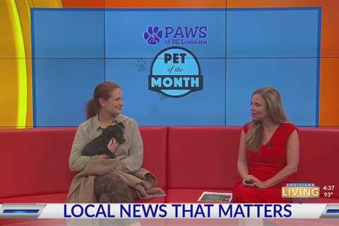 Louisiana Living: PAWS Pet of the Month