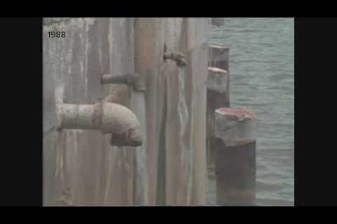 WWL-TV Flashback: Saltwater intrusion Plaquemines Parish in 1988