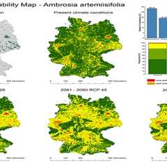 Invasive plant species will spread even further in Germany according to simulation study