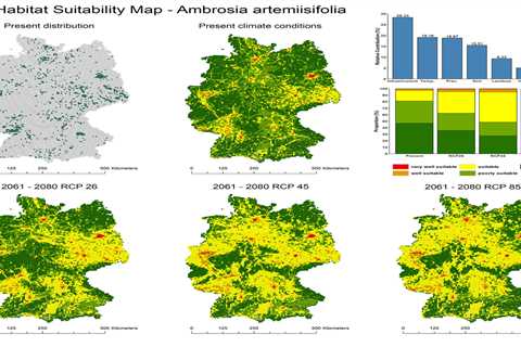 Invasive plant species will spread even further in Germany according to simulation study