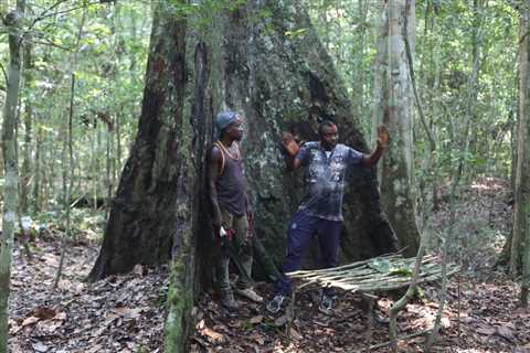 Gabonese village fights to save forest from logging