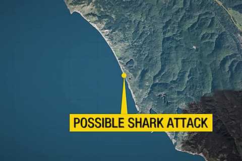 Person missing after possible shark attack at Point Reyes beach