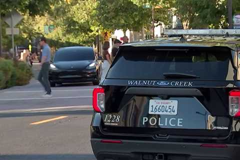 A dozen suspects seen breaking into luxury store in downtown Walnut Creek – NBC Bay Area