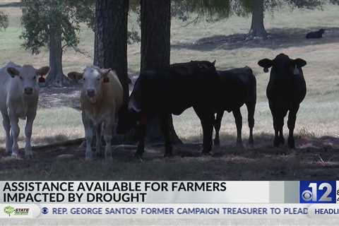 Assistance available for Mississippi farmers impacted by drought