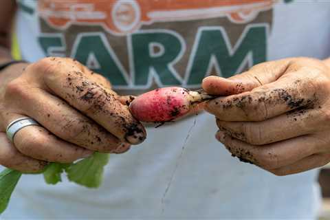 As consumers flock to organic foods, lawmakers urge more federal grants for farmers ⋆