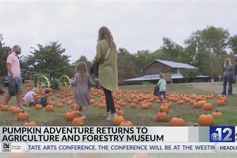 Mississippi Ag Museum hosts annual Pumpkin Adventure