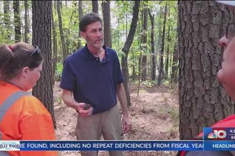 El Dorado Insider features South Arkansas College Forestry Technology Program