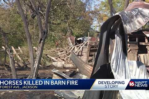 Horse Killed In Barn Fire