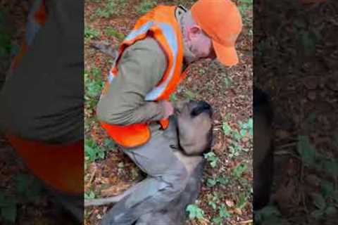 Delicate rescue mission to cut free distressed deer tangled in rope