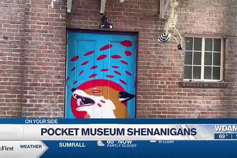 Pocket Museum in downtown Hattiesburg vandalized _ again