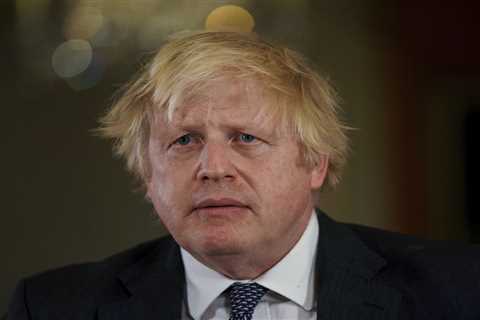 Boris Johnson's Hairdryer Cure: A Low Point in the Pandemic