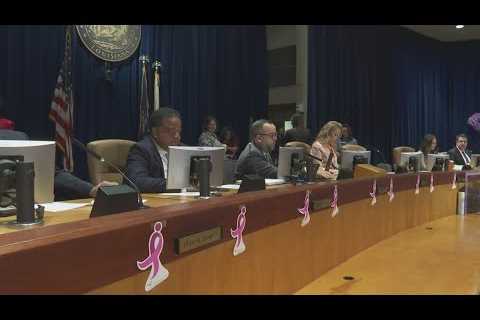 City Councilmembers call out gaps in 911 system calls for domestic violence