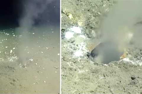 They Sent A Camera To The Bottom Of The Ocean But Never Expect To Find This Chilling Discovery