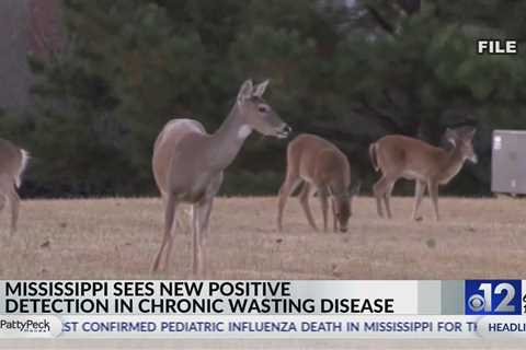 Positive case of Chronic Wasting Disease detected in Marshall County