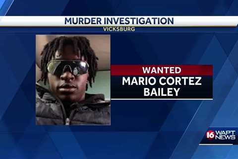 Vicksburg Murder Investigation