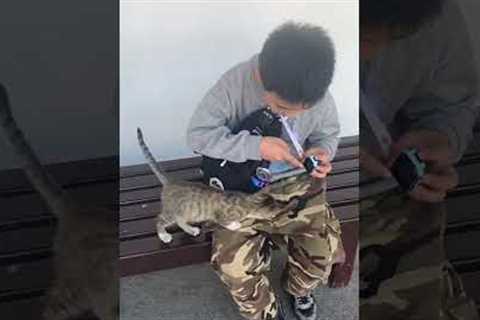 Caring schoolboy befriends stray cat