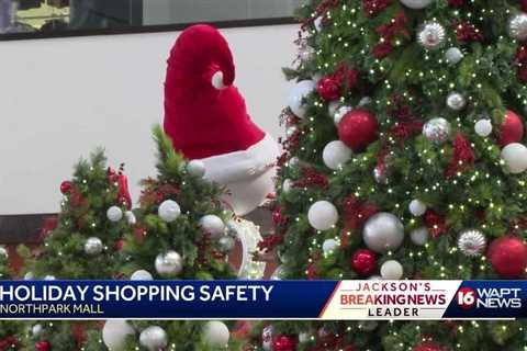 Holiday Shopping Safety Tips