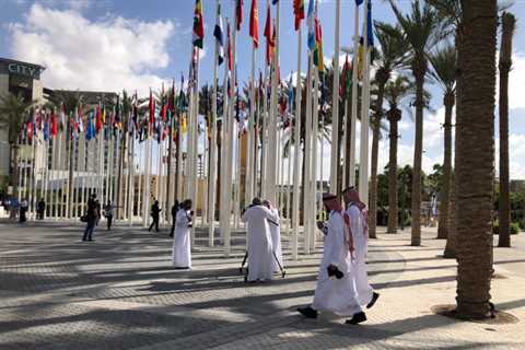 Dubai’s COP28 — a view from the ground