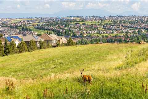 Unlocking the Economic Potential of Arapahoe County, Colorado