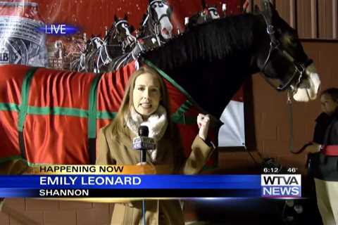 WTVA meets famous Budweiser Clydesdale – Part 1