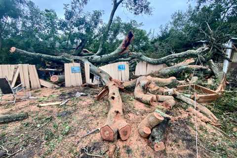 Tornado causes thousands of dollars of damage in St. Pete, none injured