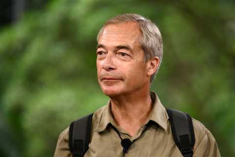 Nigel Farage Slams Rishi Sunak's Rwanda Bill as a Total Joke