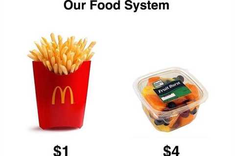 There Are Numerous Problems with Our Food System