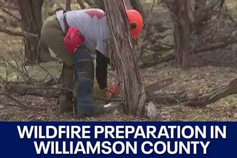 Preparing for wildfires in Williamson County | FOX 7 Austin