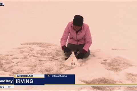 Snow covers parts of Dallas County