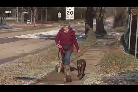 Dallas weather: North Texans venture out on cold, snowy day