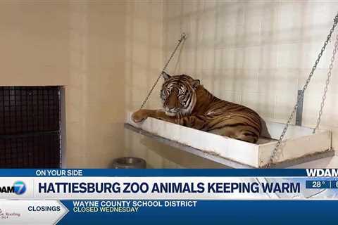 Hattiesburg Zoo animals keeping warm