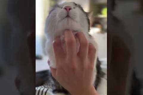 That's the spot!