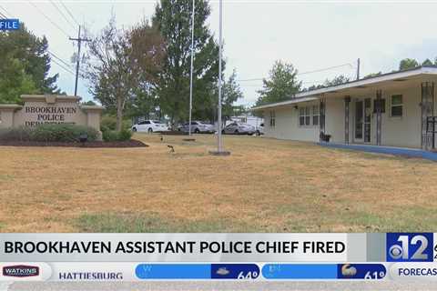 Brookhaven assistant police chief fired