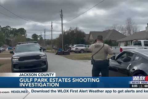 Investigators sorting out Gulf Park Estates shooting details